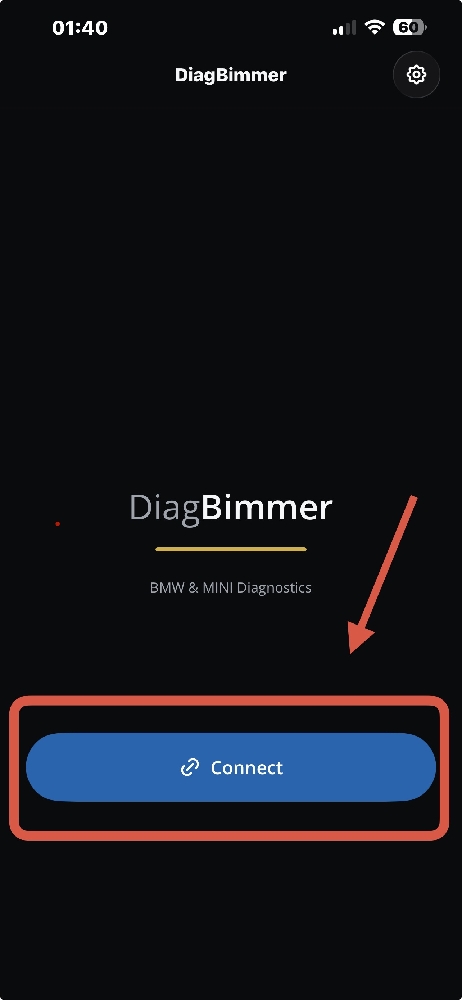 DiagBimmer App Connect Screen